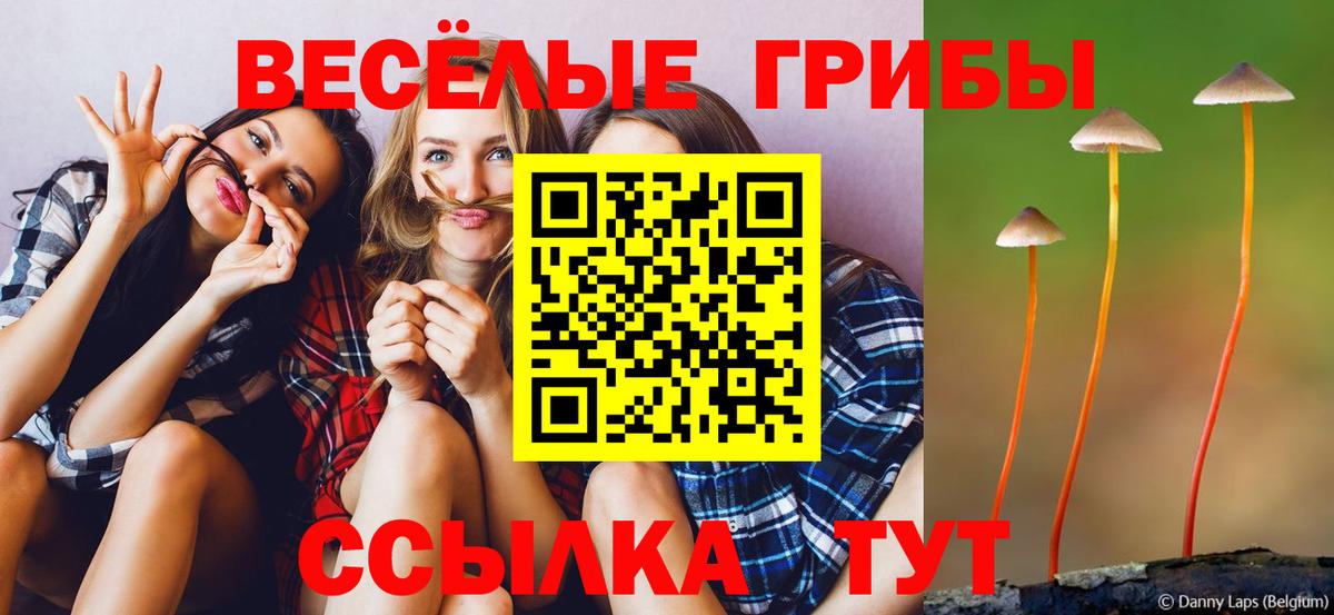 Псилоцибиновые грибы ЛСД Коряжма
